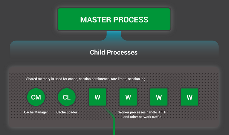 nginx_process